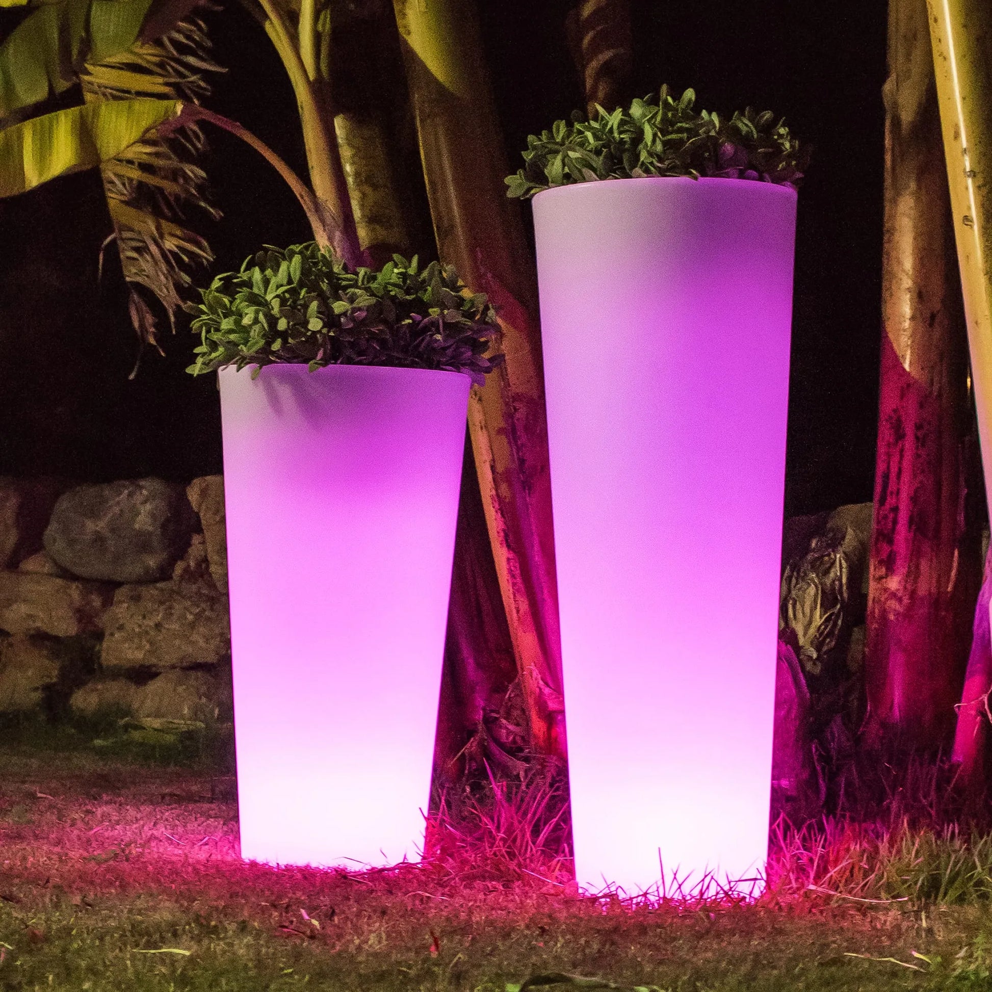 Ficus<br> Solar & Rechargeable Nüline Distribution Pots & Planters art-noise.myshopify.com ficus-br-solar-rechargeable Ficus<br> Solar & Rechargeable Nüline Distribution Pots & Planters art-noise.myshopify.com ficus-br-solar-rechargeable