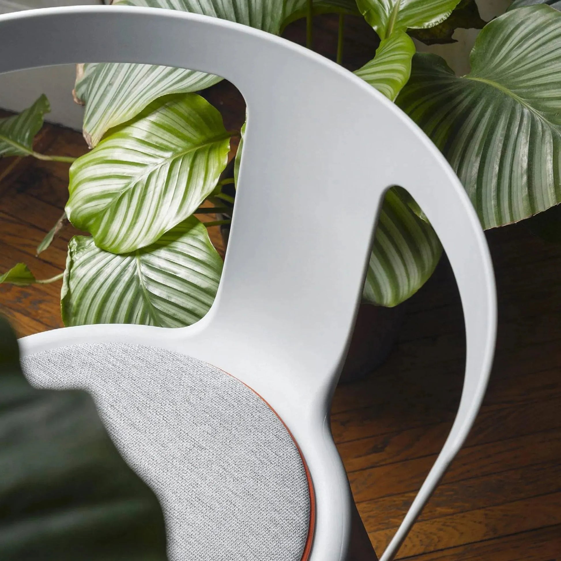 FLA Upholstered Chair<br> Indoor Use Nüline Distribution Kitchen & Dining Room Chairs art-noise.myshopify.com fla-upholstered-chair-br-indoor-use FLA Upholstered Chair<br> Indoor Use Nüline Distribution Kitchen & Dining Room Chairs art-noise.myshopify.com fla-upholstered-chair-br-indoor-use FLA Upholstered Chair<br> Indoor Use Nüline Distribution Kitchen & Dining Room Chairs art-noise.myshopify.com fla-upholstered-chair-br-indoor-use