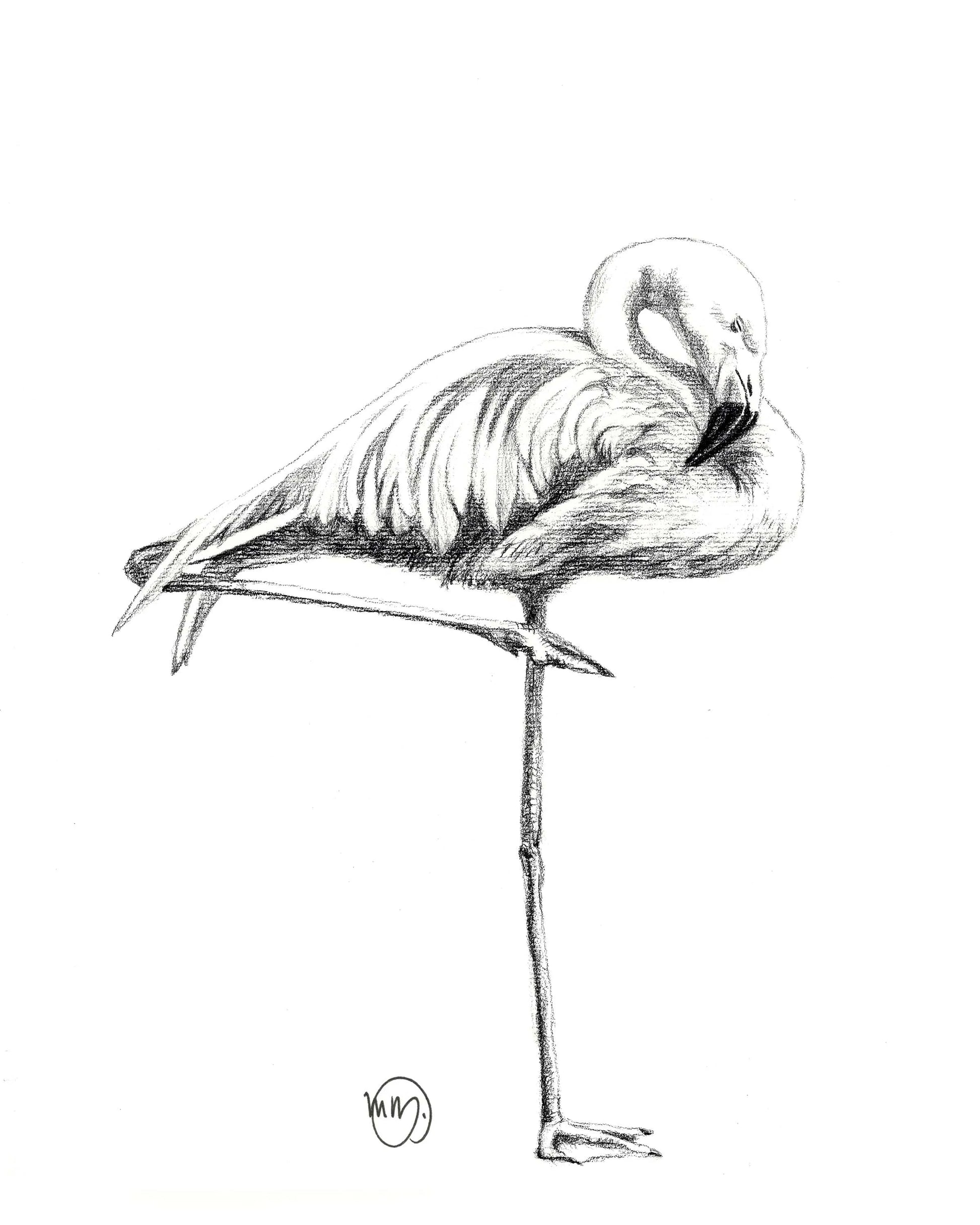 Pink Flamingo LE NID atelier illustration art-noise.myshopify.com pink-flamingo Pink Flamingo LE NID atelier illustration art-noise.myshopify.com pink-flamingo