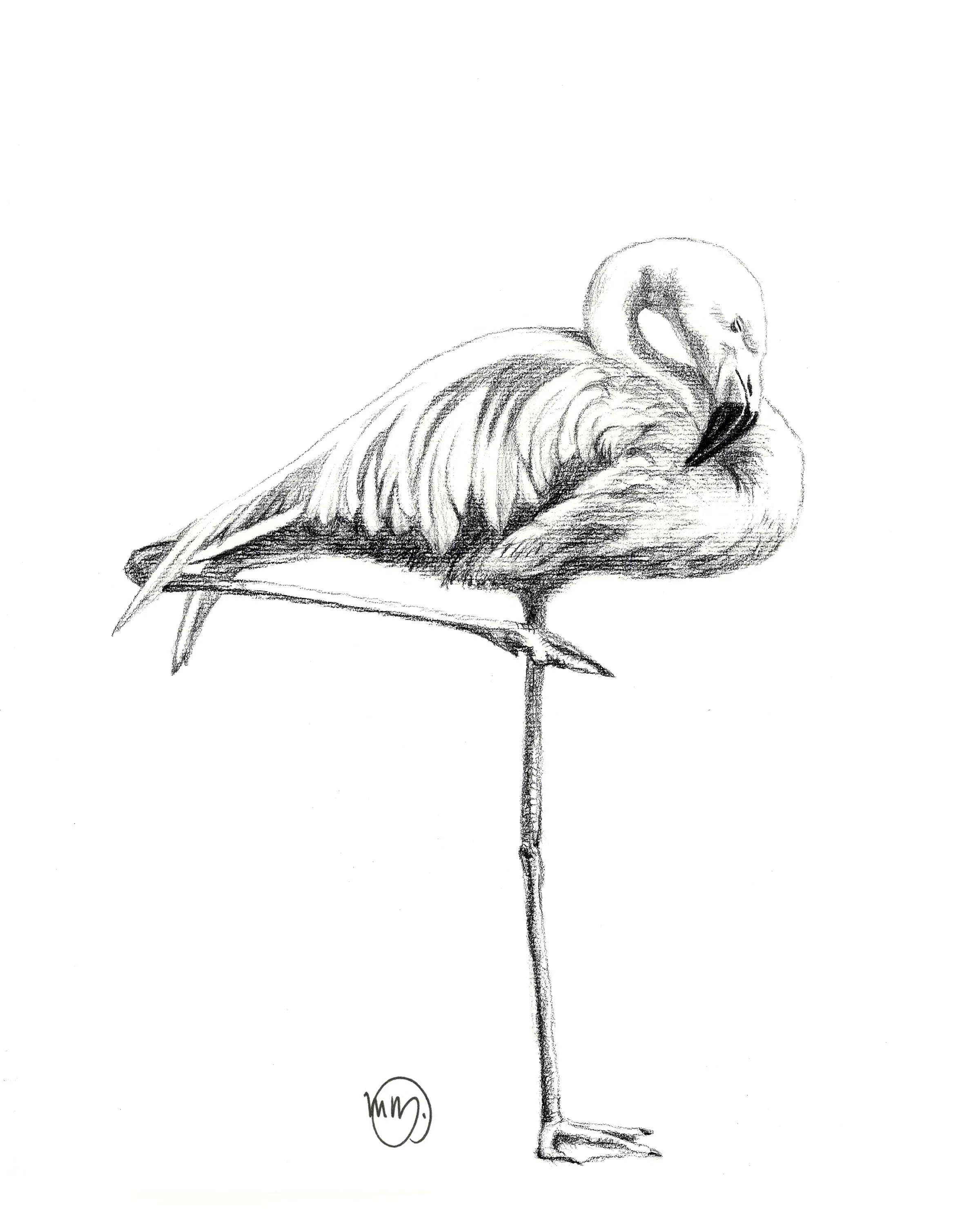 Pink Flamingo LE NID atelier illustration art-noise.myshopify.com pink-flamingo Pink Flamingo LE NID atelier illustration art-noise.myshopify.com pink-flamingo