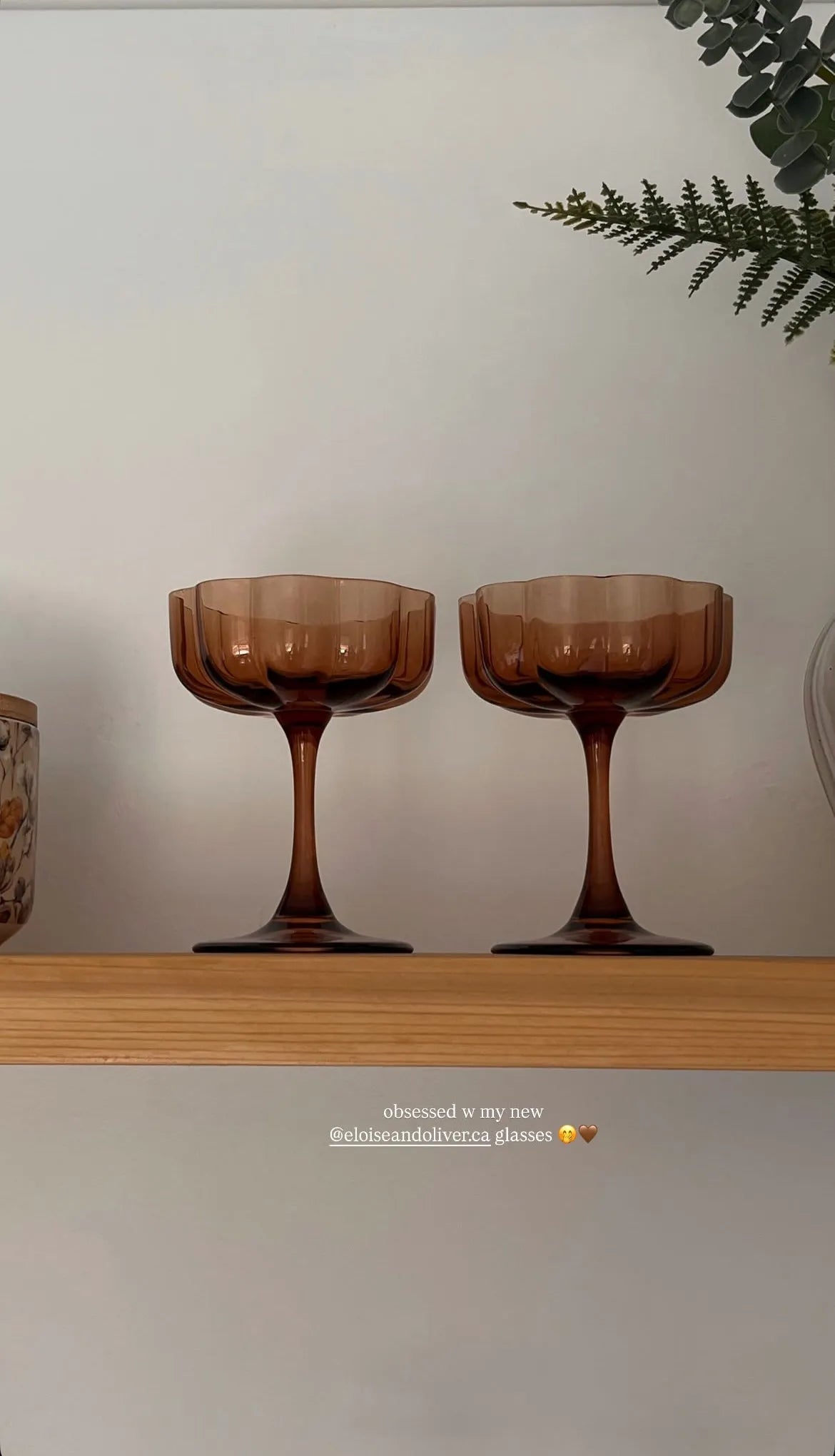 Petal Martini Glass Eloise and Oliver Drinkware art-noise.myshopify.com petal-martini-glass Petal Martini Glass Eloise and Oliver Drinkware art-noise.myshopify.com petal-martini-glass