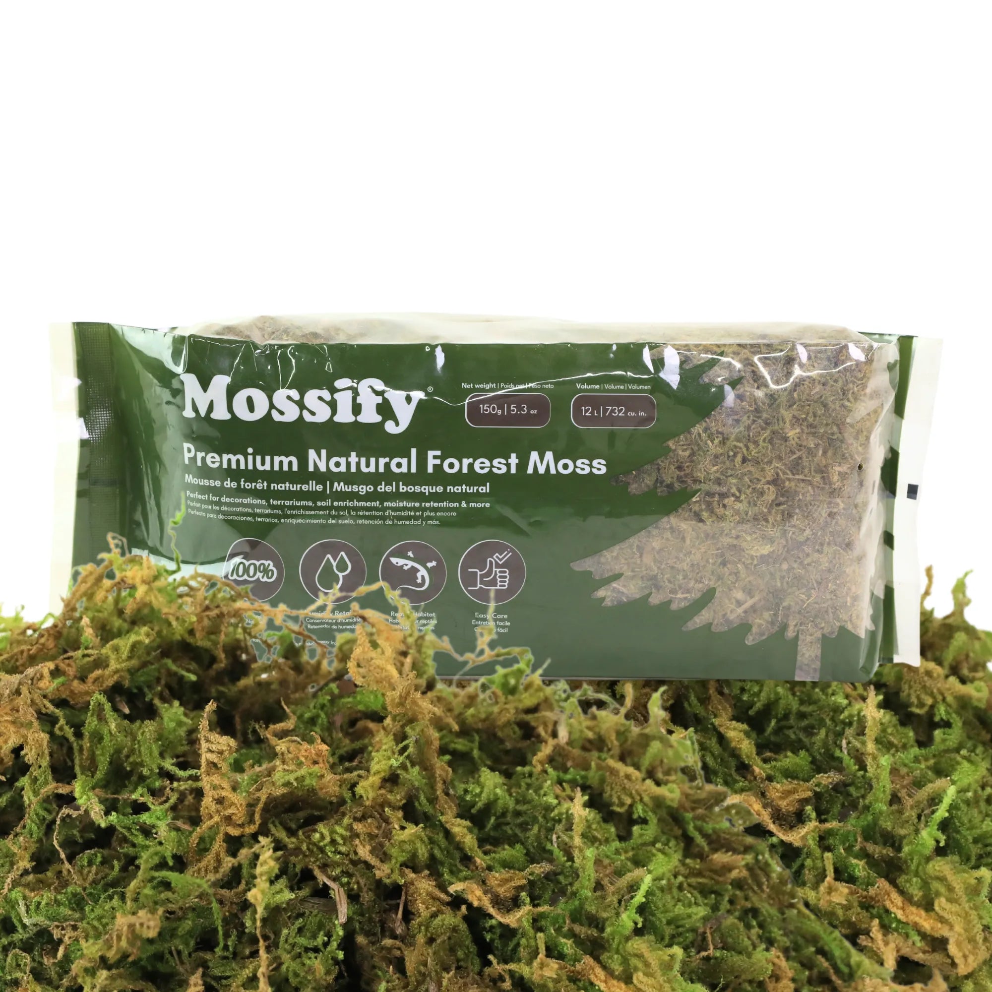 Premium Natural Forest Moss Mossify product_type art-noise.myshopify.com premium-natural-forest-moss Premium Natural Forest Moss Mossify  art-noise.myshopify.com premium-natural-forest-moss
