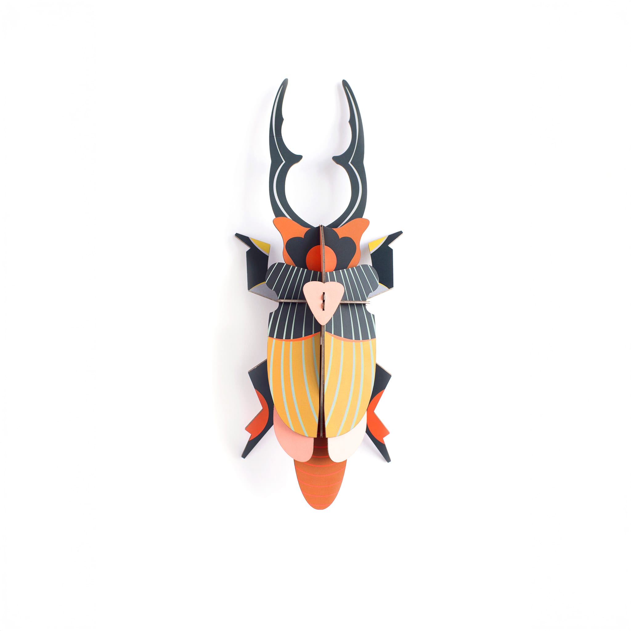 Giant Stag Beetle
