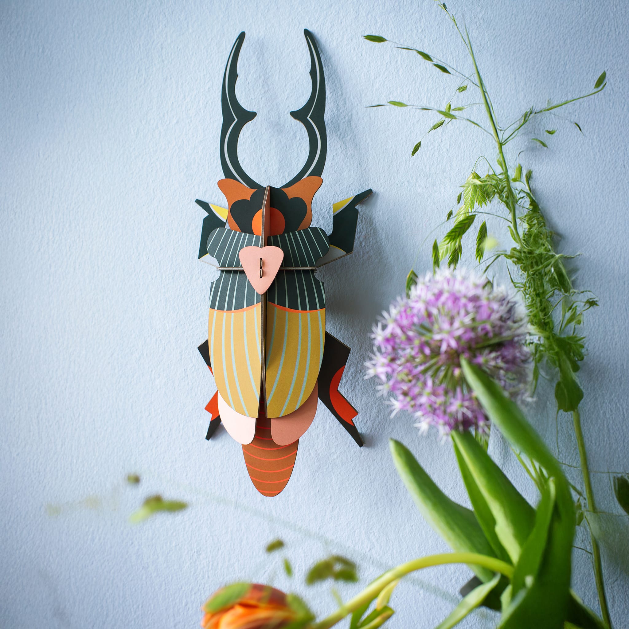 Giant Stag Beetle
