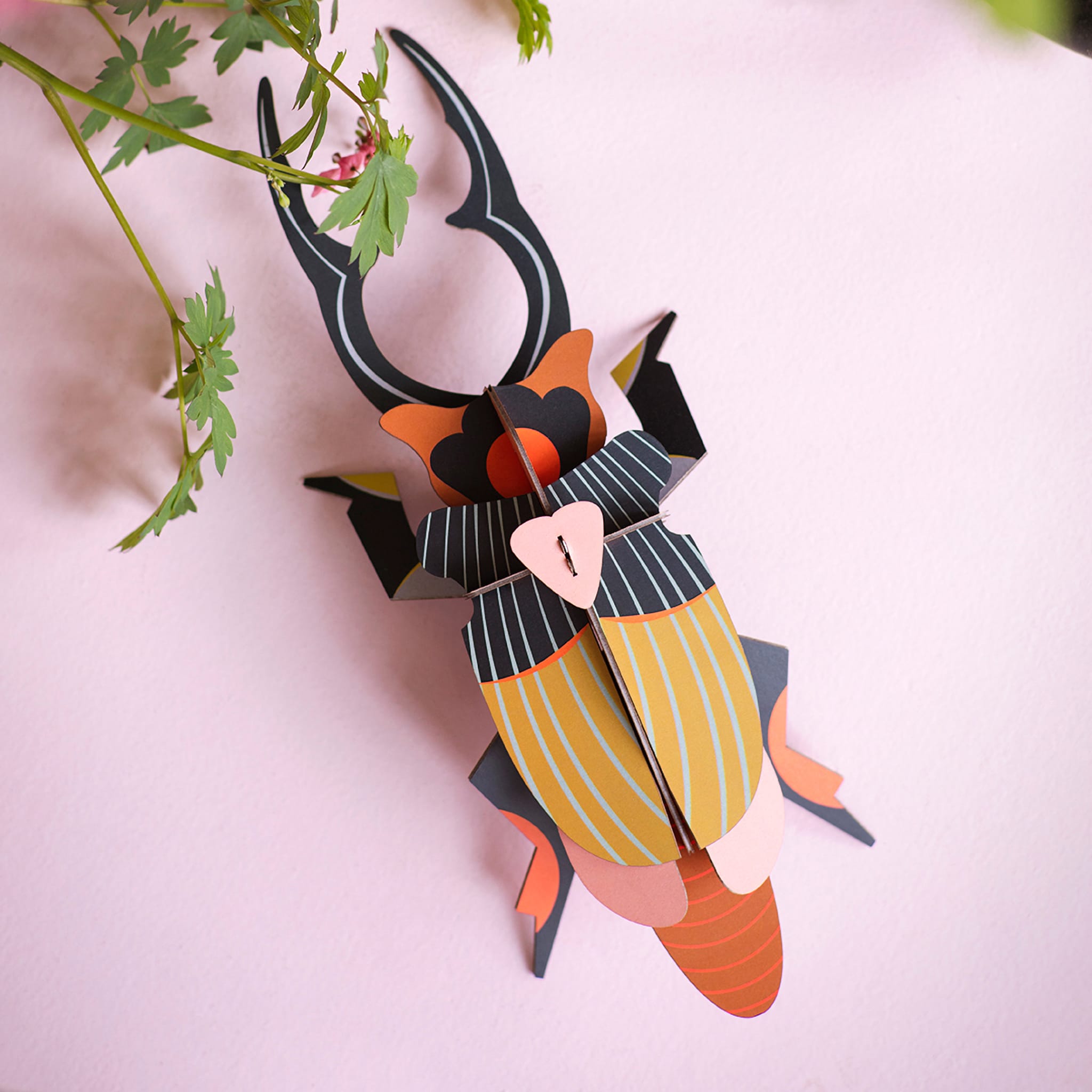 Giant Stag Beetle