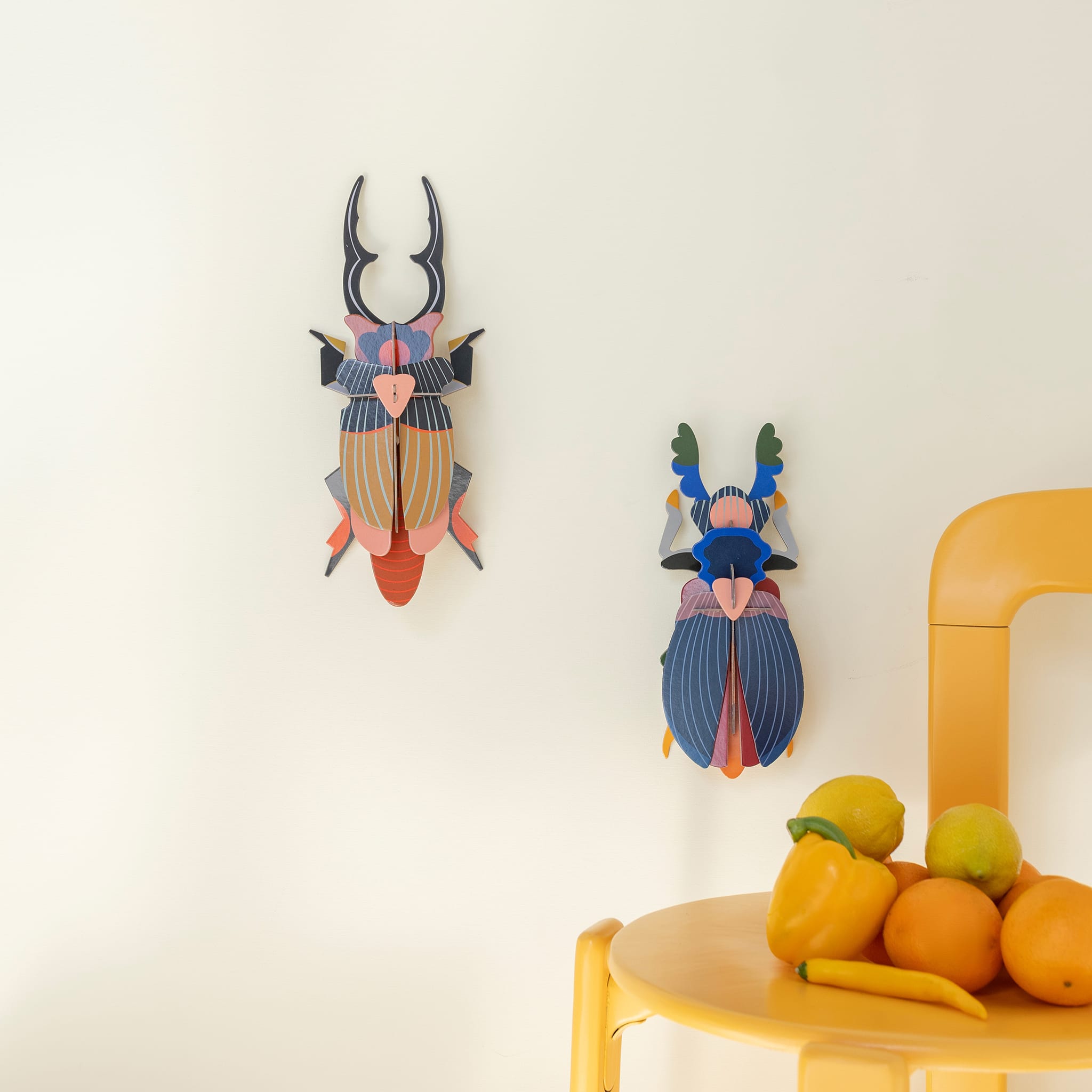 Giant Stag Beetle
