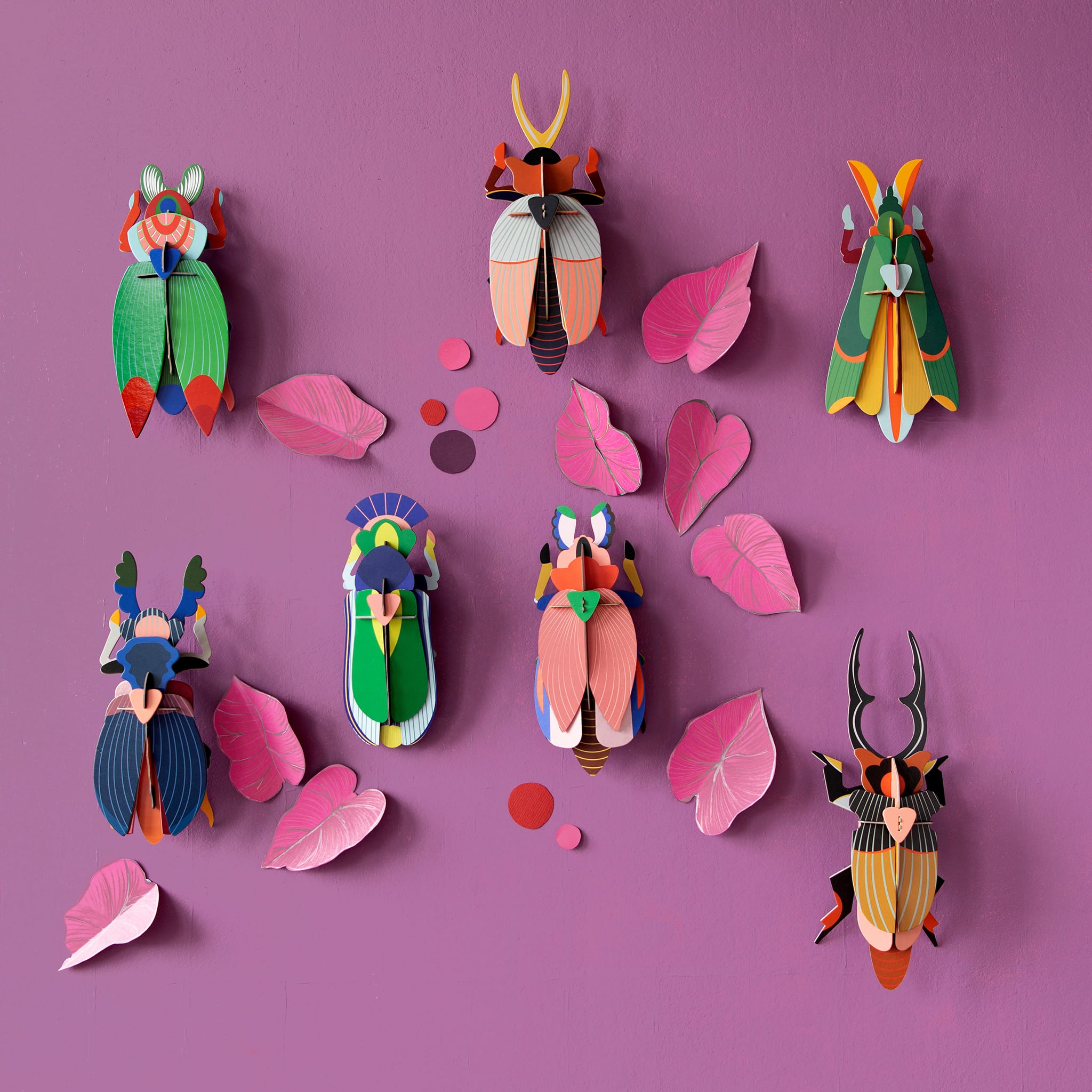 Giant Stag Beetle