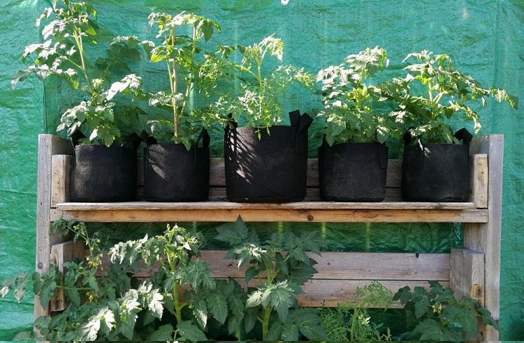 Byson Plant Grow Bags