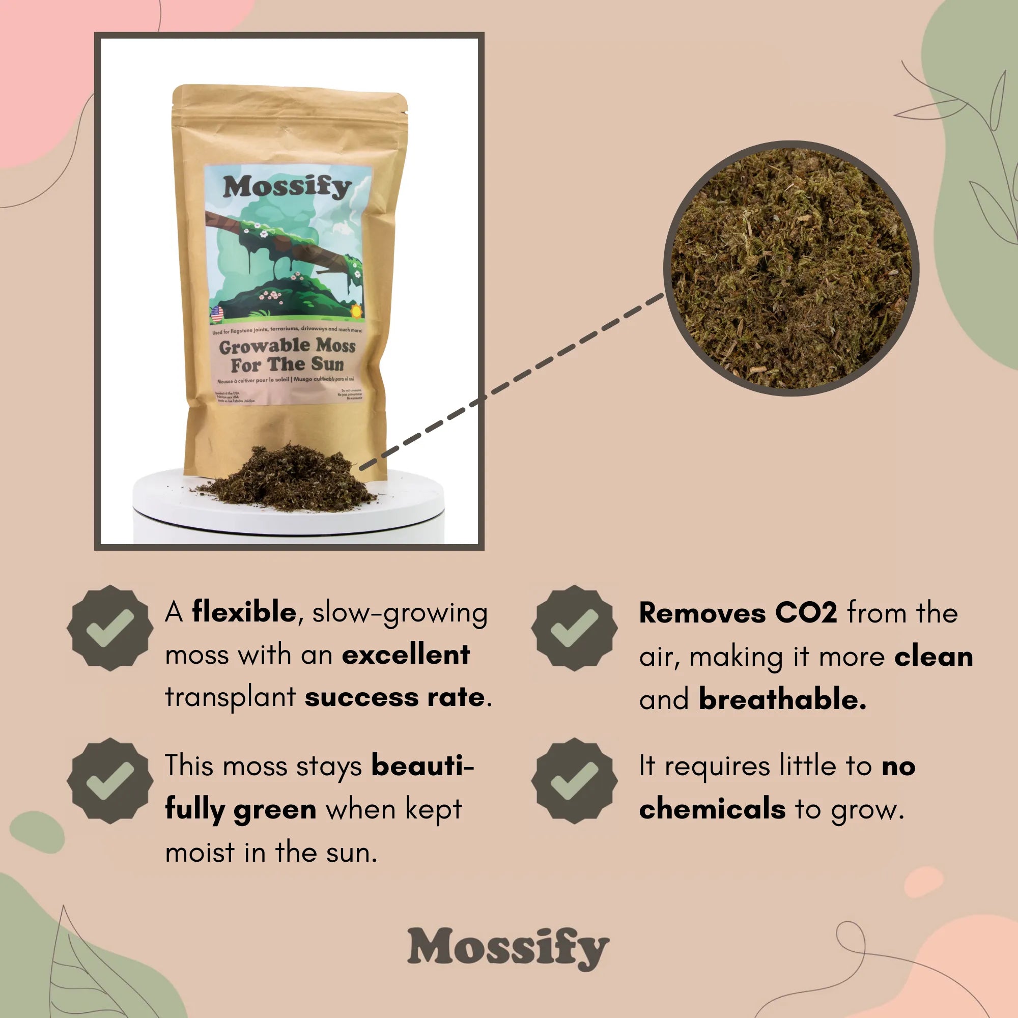 Growable Moss for the Sun Mossify product_type art-noise.myshopify.com growable-moss-for-the-sun Growable Moss for the Sun Mossify  art-noise.myshopify.com growable-moss-for-the-sun