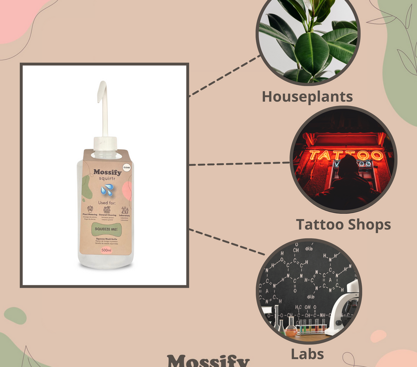 Mossify squirtr