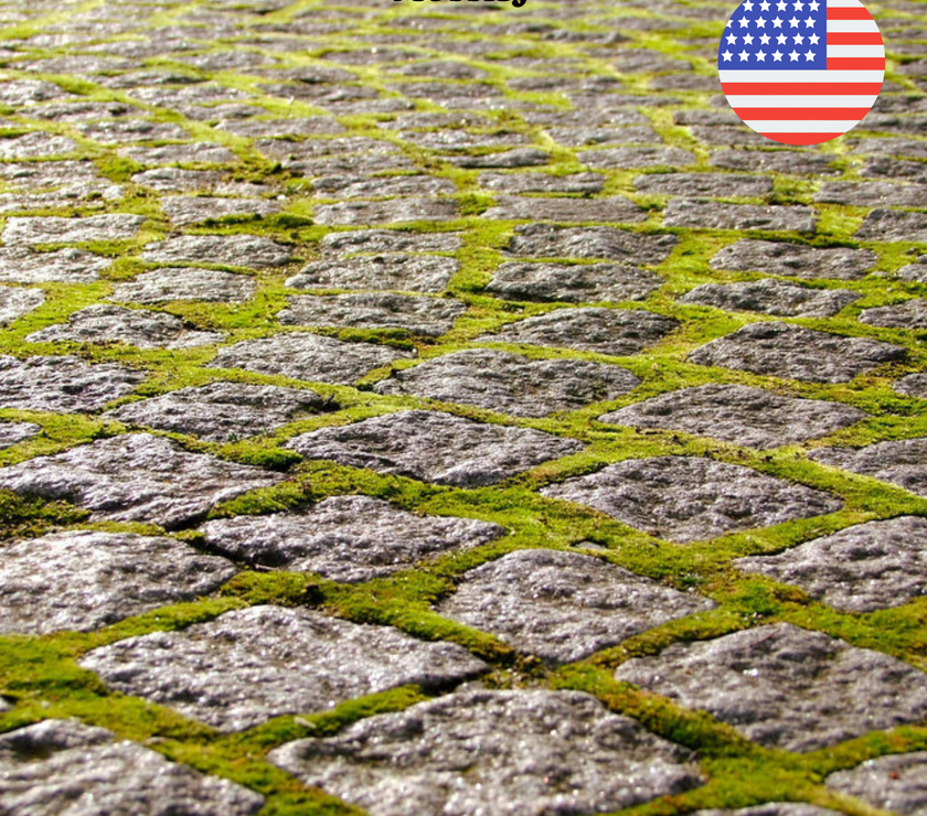Growable Moss for the Sun