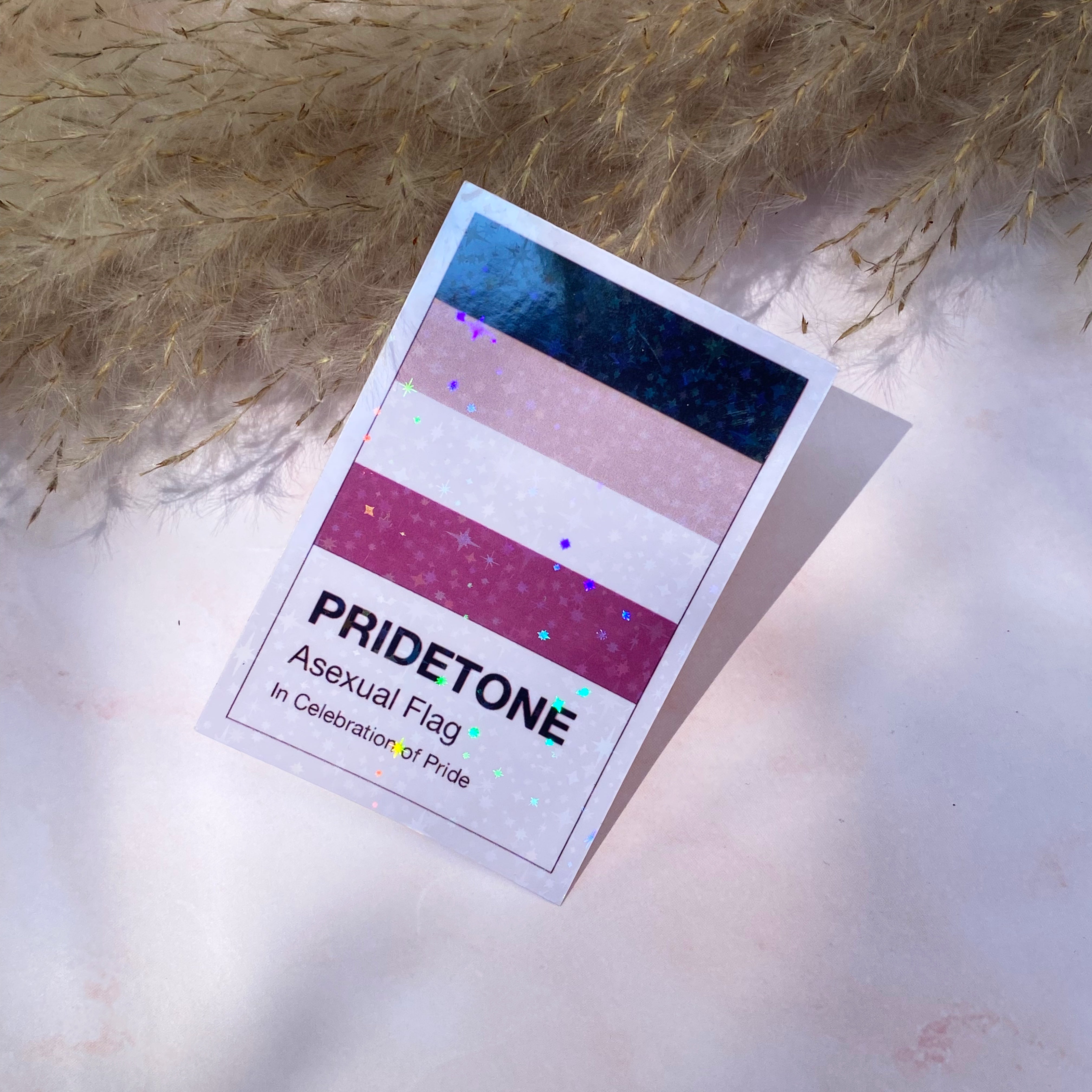 Pridetone Asexual Flag | Pride Sticker