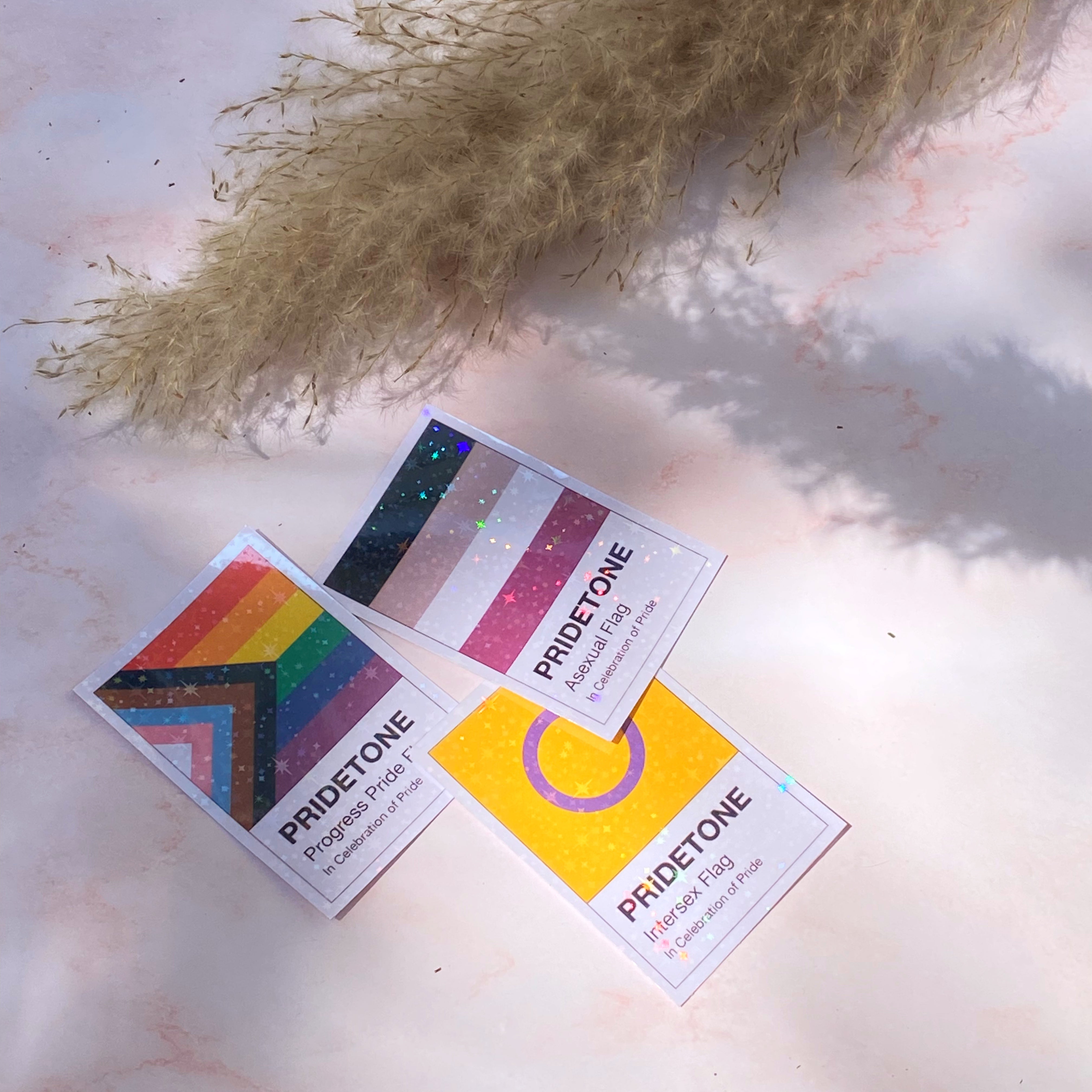 Pridetone Asexual Flag | Pride Sticker
