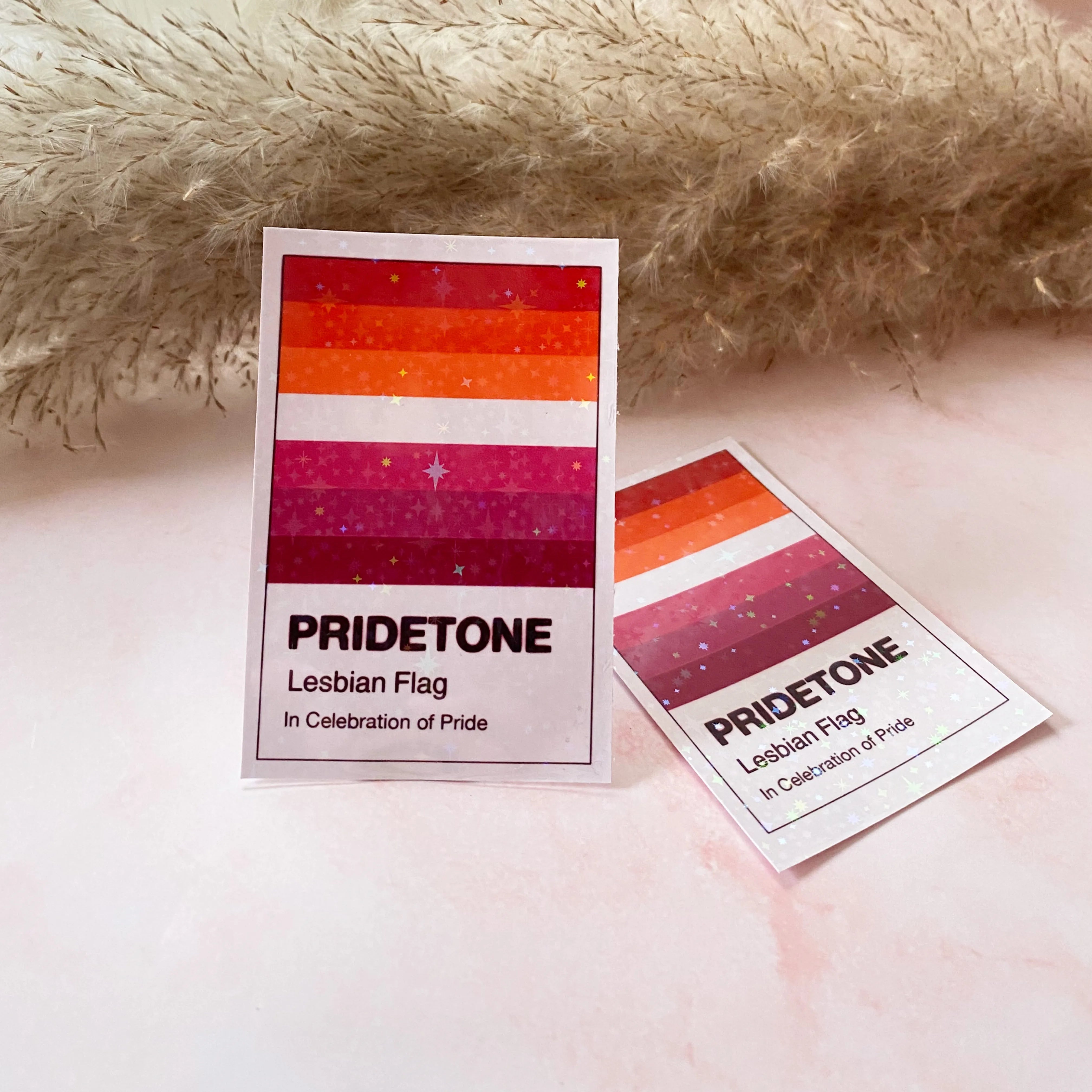  Pridetone Lesbian Flag | Pride Sticker Cheeky Peach Designs Sticker art-noise.myshopify.com pridetone-lesbian-flag-pride-sticker
