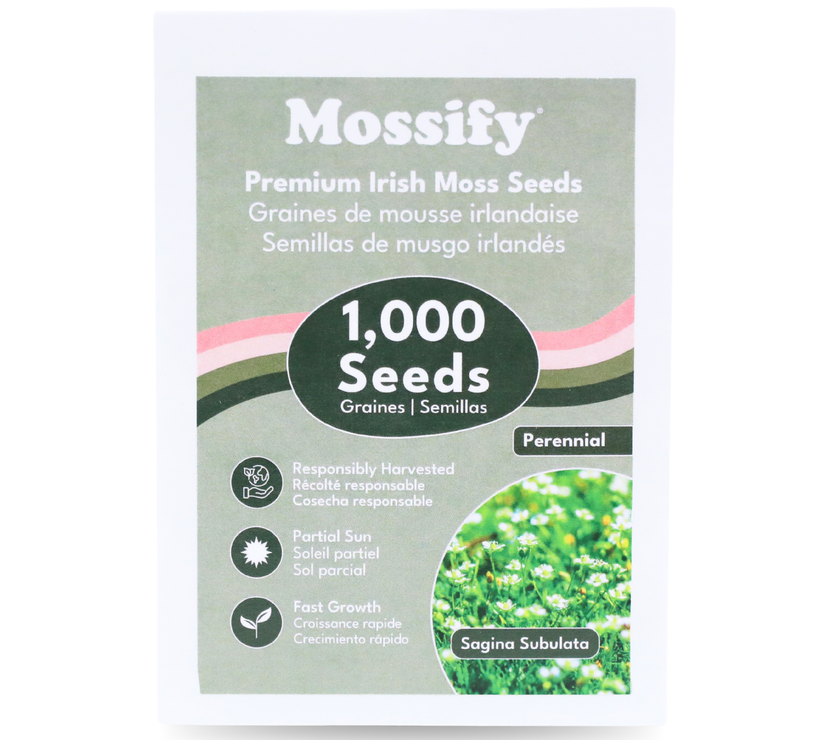 Premium Irish Moss Seeds - Sagina Subulata Seeds