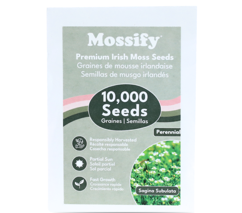 Premium Irish Moss Seeds - Sagina Subulata Seeds