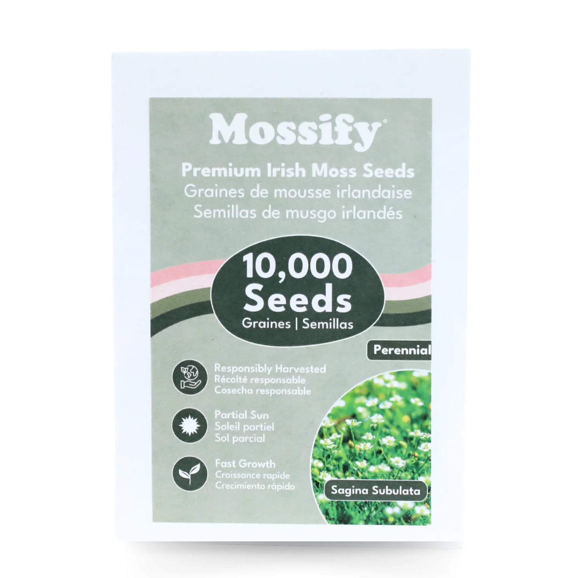 Premium Irish Moss Seeds Sagina Subulata Seeds Art Noise premium-irish-moss-seeds-sagina-subulata-seeds-art-noise