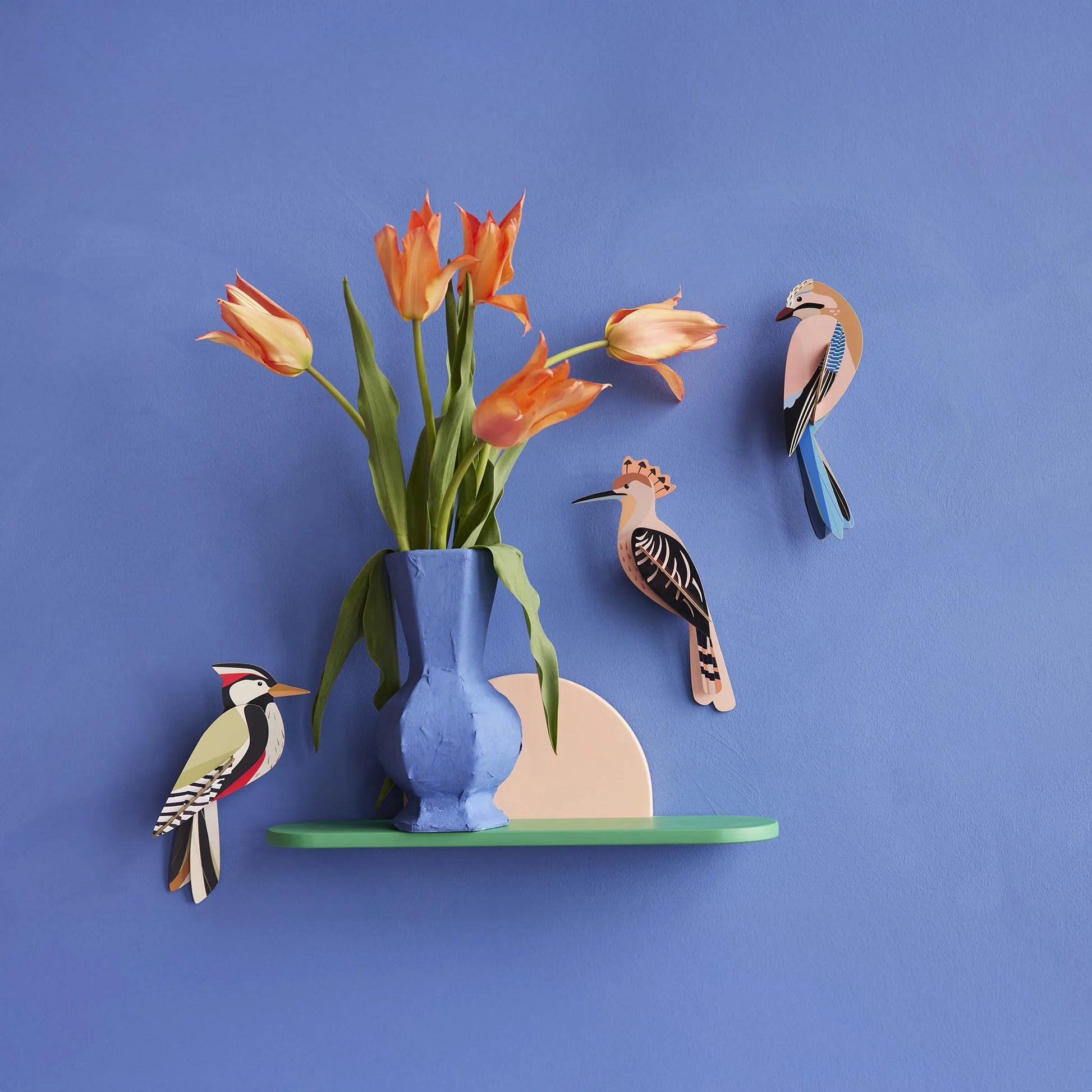 Jay Nüline Distribution Cardboard Cutouts art-noise.myshopify.com jay Jay Nüline Distribution Cardboard Cutouts art-noise.myshopify.com jay