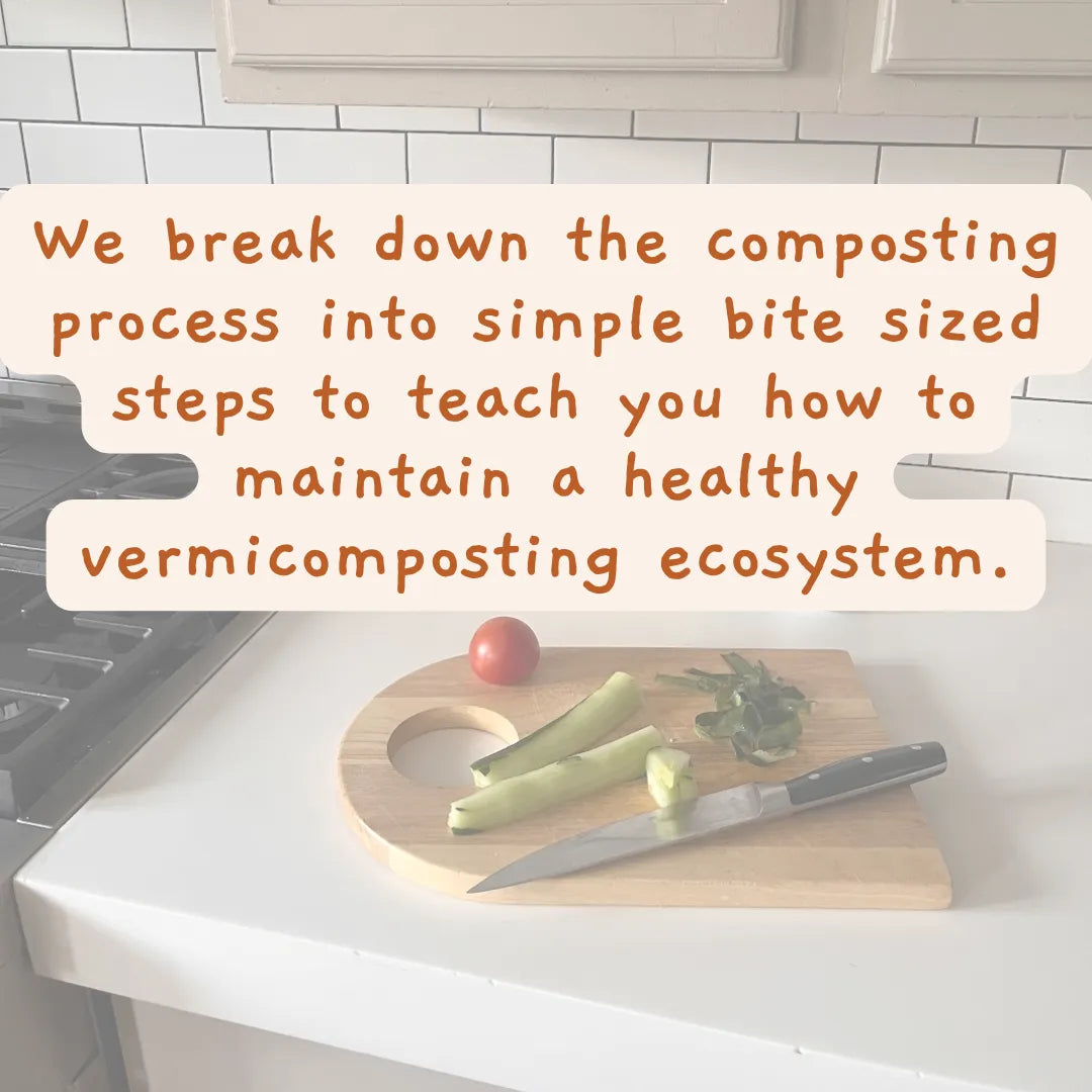 Worm Studio The Box Of Life Indoor worm bin art-noise.myshopify.com worm-studio Worm Studio The Box Of Life Indoor worm bin art-noise.myshopify.com worm-studio