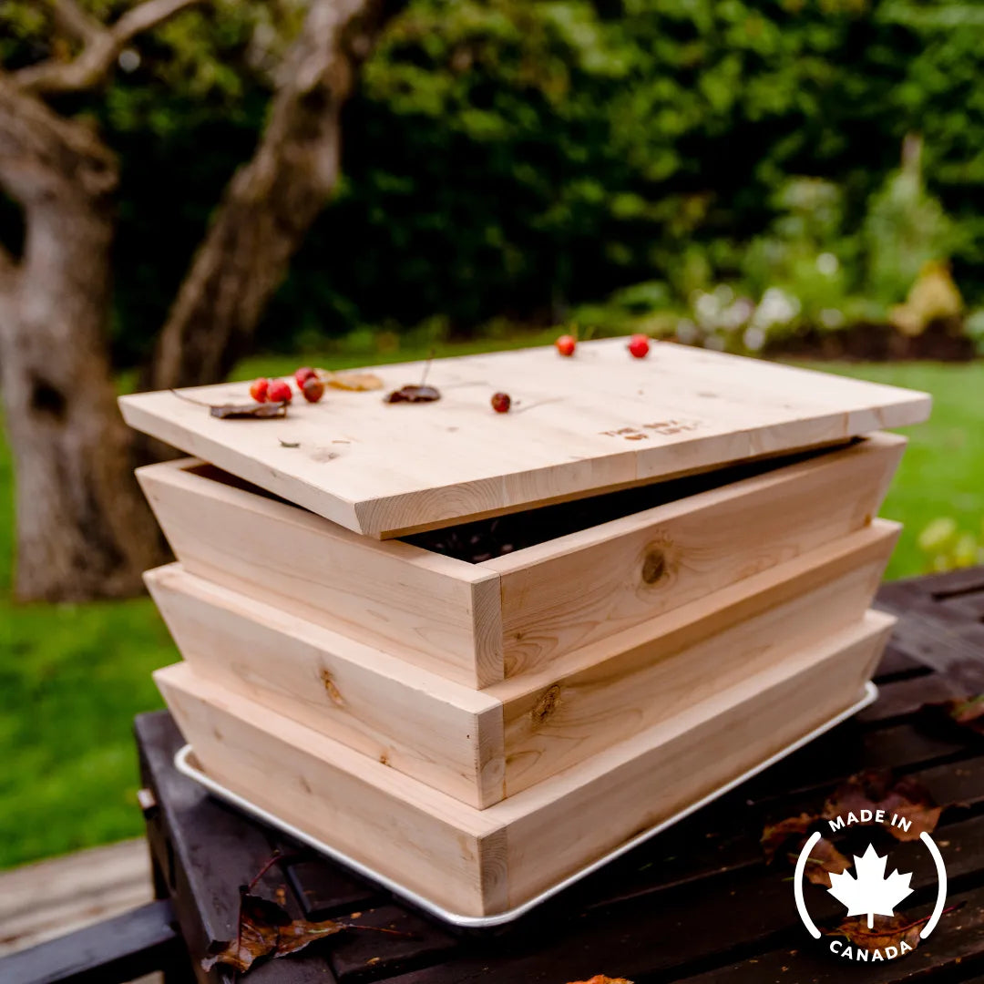 Worm Studio The Box Of Life Indoor worm bin art-noise.myshopify.com worm-studio Worm Studio The Box Of Life Indoor worm bin art-noise.myshopify.com worm-studio