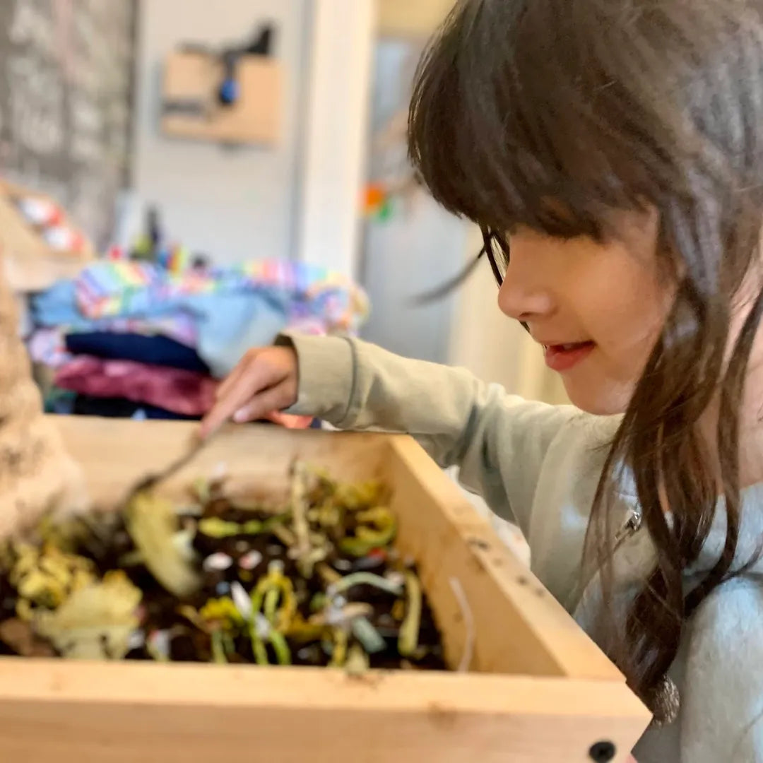 Worm Studio The Box Of Life Indoor worm bin art-noise.myshopify.com worm-studio Worm Studio The Box Of Life Indoor worm bin art-noise.myshopify.com worm-studio