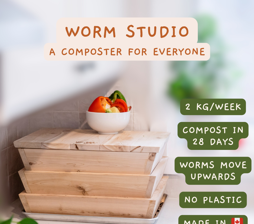 Worm Studio