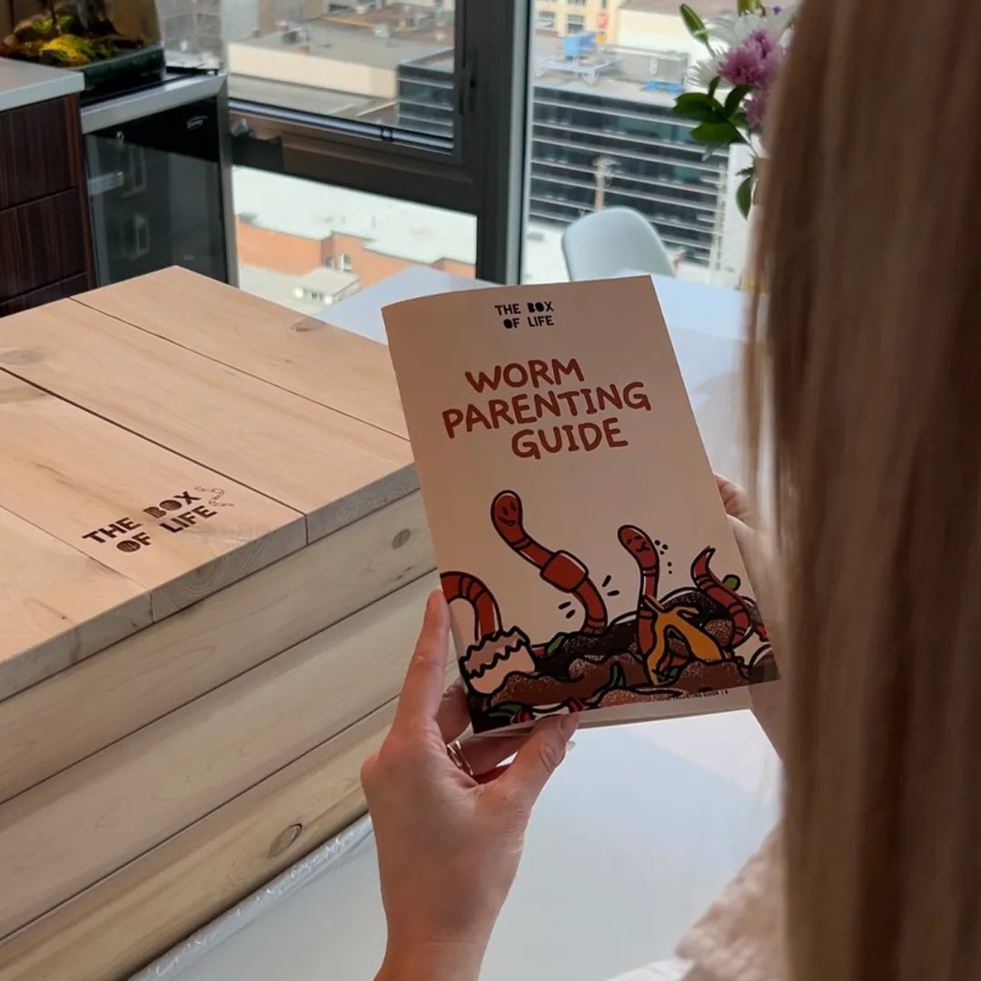 Worm Studio The Box Of Life Indoor worm bin art-noise.myshopify.com worm-studio Worm Studio The Box Of Life Indoor worm bin art-noise.myshopify.com worm-studio