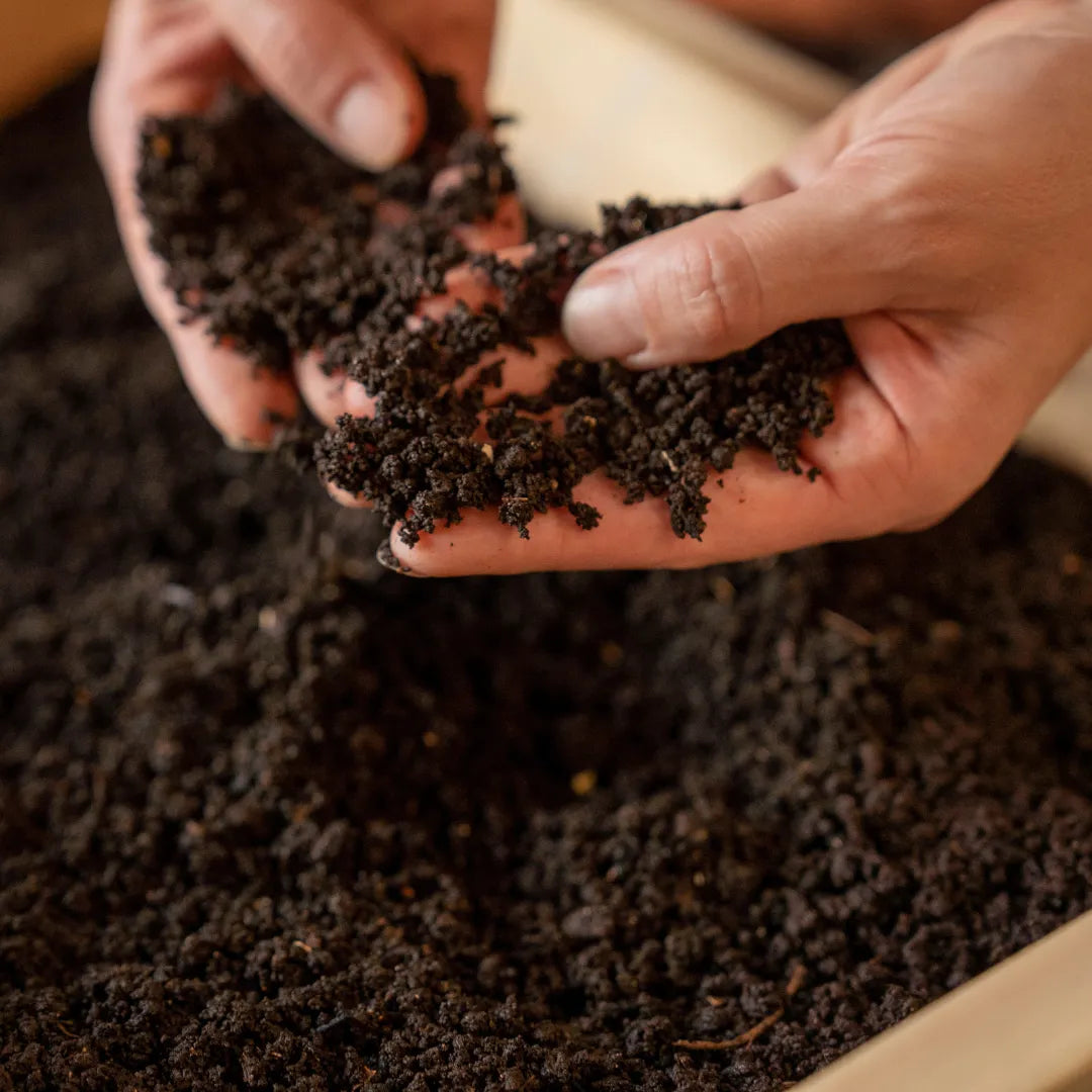 Worm Studio The Box Of Life Indoor worm bin art-noise.myshopify.com worm-studio Worm Studio The Box Of Life Indoor worm bin art-noise.myshopify.com worm-studio