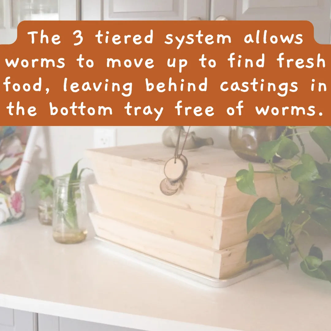 Worm Studio The Box Of Life Indoor worm bin art-noise.myshopify.com worm-studio Worm Studio The Box Of Life Indoor worm bin art-noise.myshopify.com worm-studio