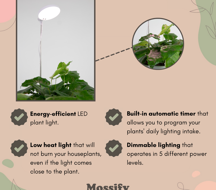 Adjustable LED Plant Light