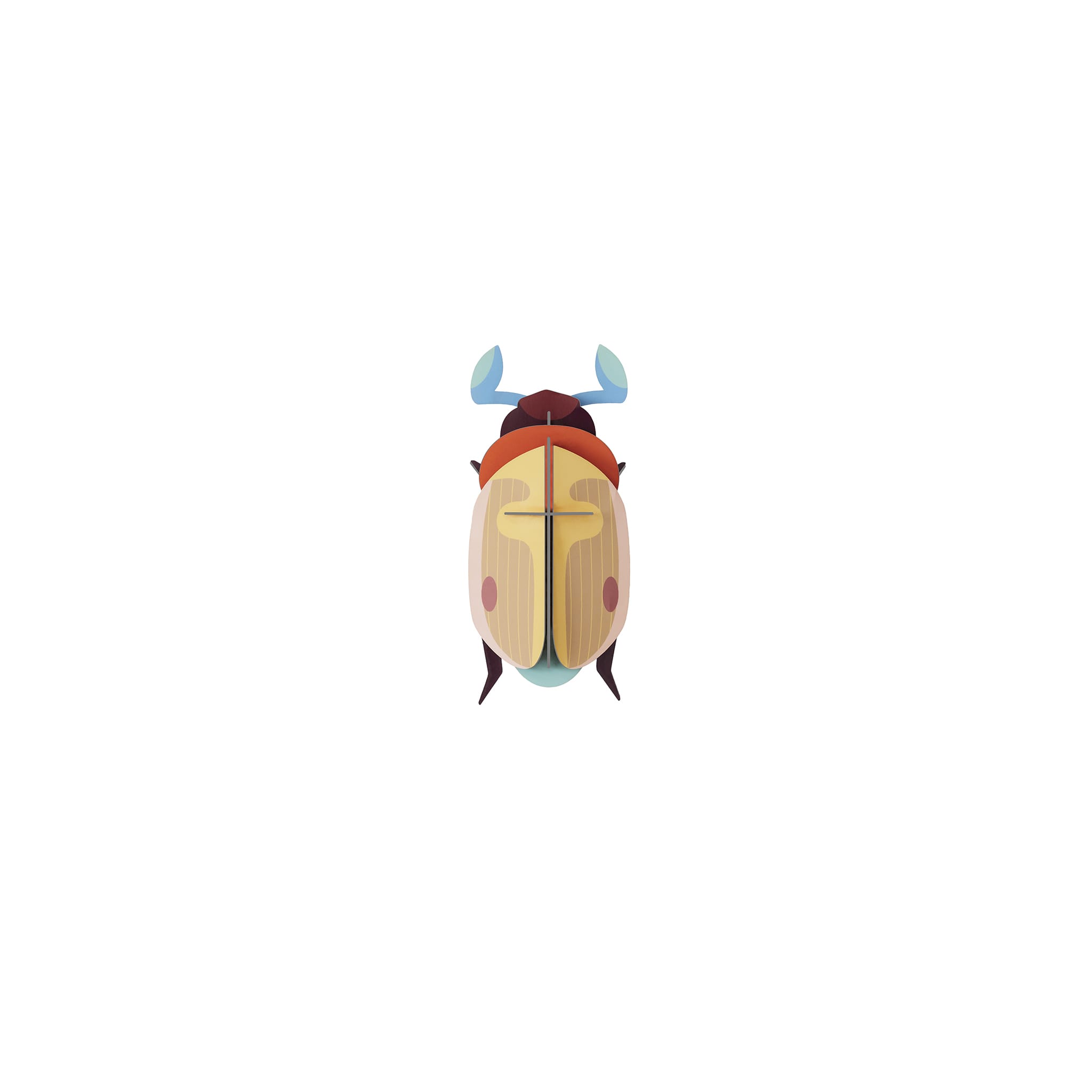 Lemon Fruit Beetle