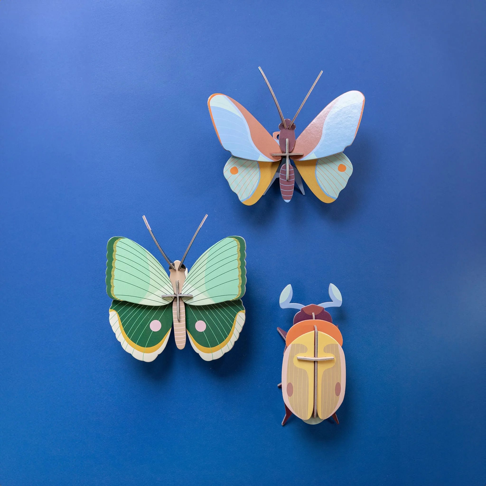 Lemon Fruit Beetle Nüline Distribution Cardboard Cutouts art-noise.myshopify.com lemon-fruit-beetle Lemon Fruit Beetle Nüline Distribution Cardboard Cutouts art-noise.myshopify.com lemon-fruit-beetle