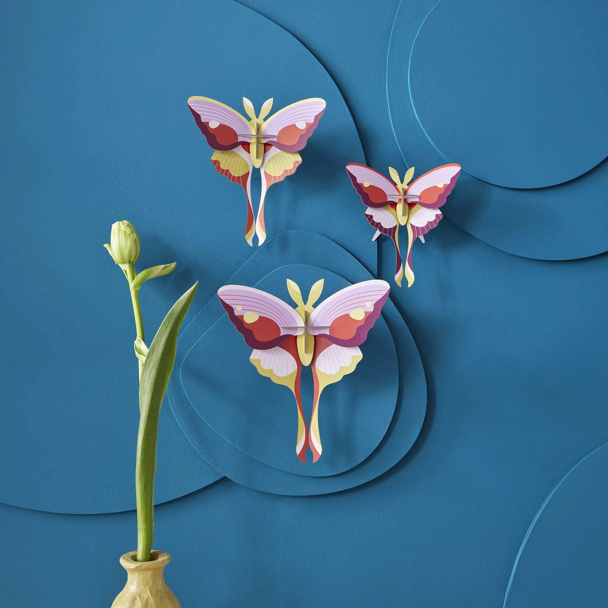 Lilac Comet Butterflies<br> Set of 3 Nüline Distribution Cardboard Cutouts art-noise.myshopify.com lilac-comet-butterflies-br-set-of-3 Lilac Comet Butterflies<br> Set of 3 Nüline Distribution Cardboard Cutouts art-noise.myshopify.com lilac-comet-butterflies-br-set-of-3