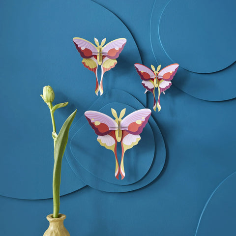 Lilac Comet Butterflies<br> Set of 3 Nüline Distribution Cardboard Cutouts art-noise.myshopify.com lilac-comet-butterflies-br-set-of-3 Lilac Comet Butterflies<br> Set of 3 Nüline Distribution Cardboard Cutouts art-noise.myshopify.com lilac-comet-butterflies-br-set-of-3