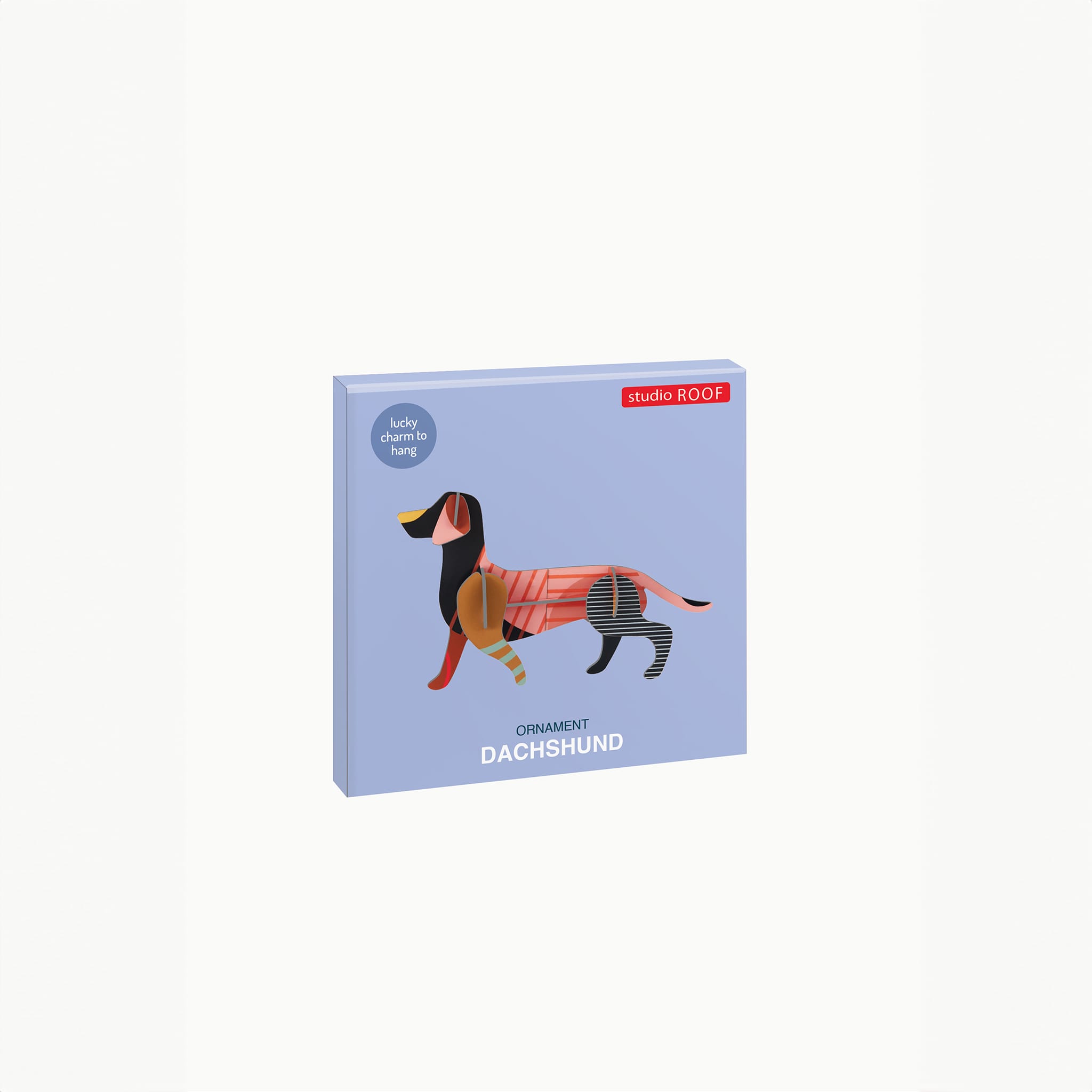 Dachshund