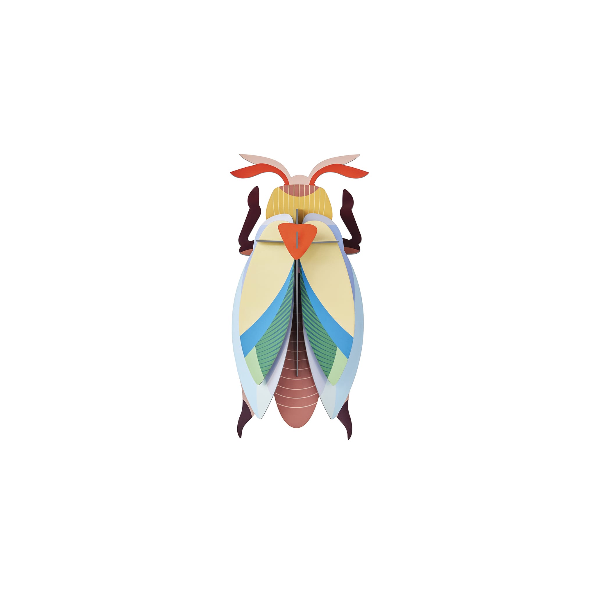Lunar Jewel Beetle