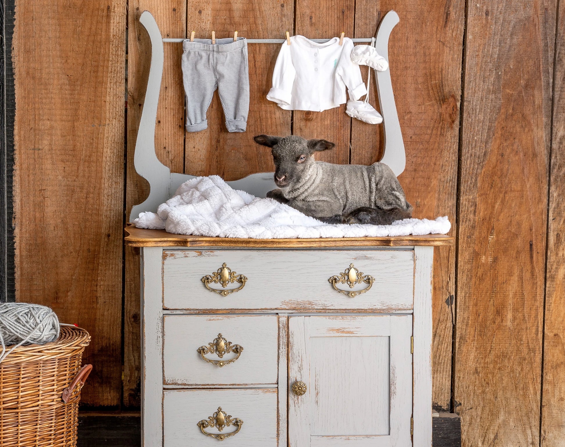 Fusion Mineral Paint Little Lamb Homestead House Furniture Paint art-noise.myshopify.com fusion-mineral-paint-little-lamb-500ml Fusion Mineral Paint Little Lamb Homestead House Furniture Paint art-noise.myshopify.com fusion-mineral-paint-little-lamb-500ml