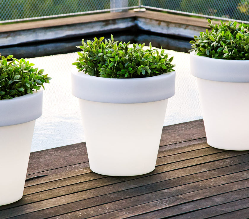 Magnolia<br> Solar & Rechargeable