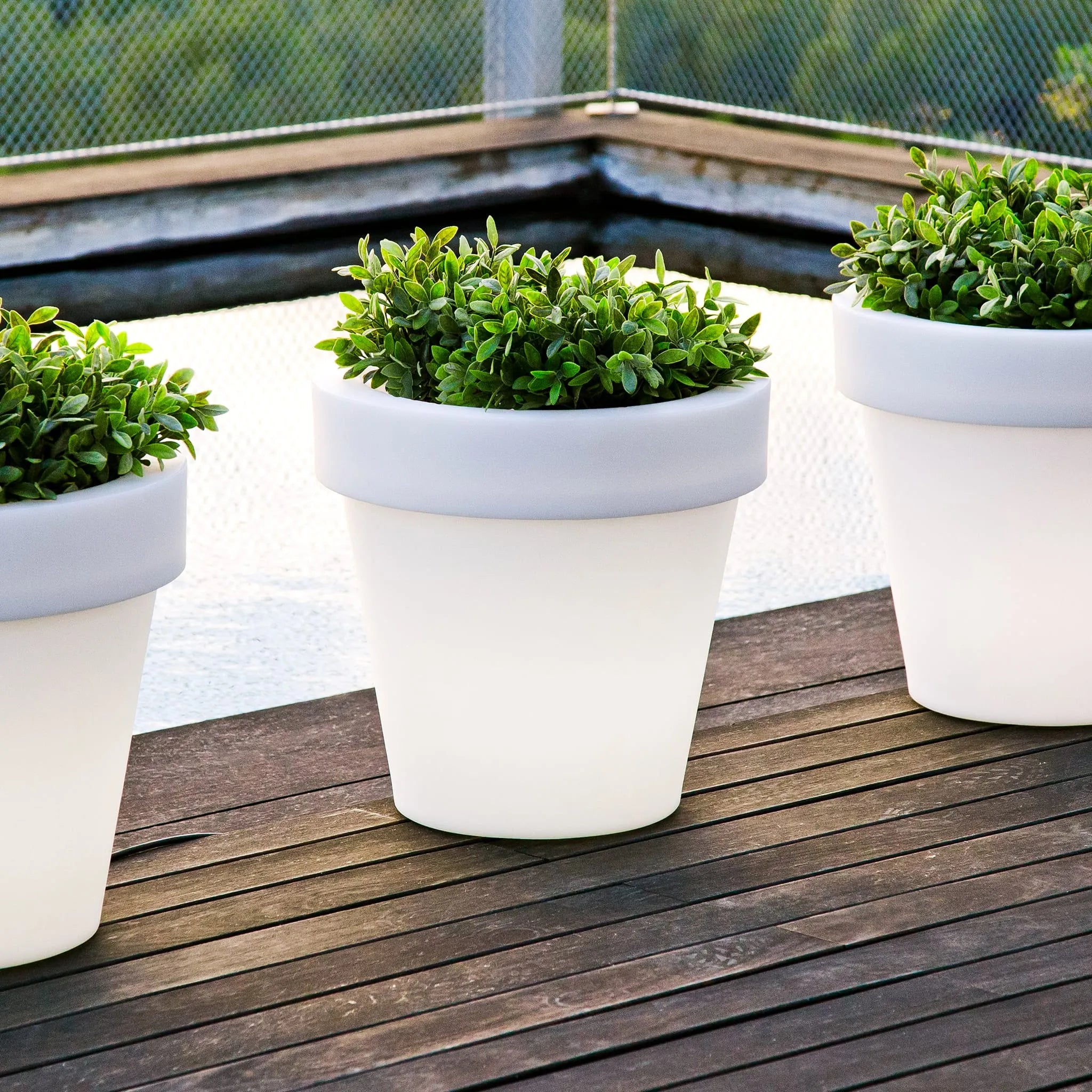 Magnolia<br> Solar & Rechargeable Nüline Distribution Pots & Planters art-noise.myshopify.com magnolia-br-solar-rechargeable Magnolia<br> Solar & Rechargeable Nüline Distribution Pots & Planters art-noise.myshopify.com magnolia-br-solar-rechargeable