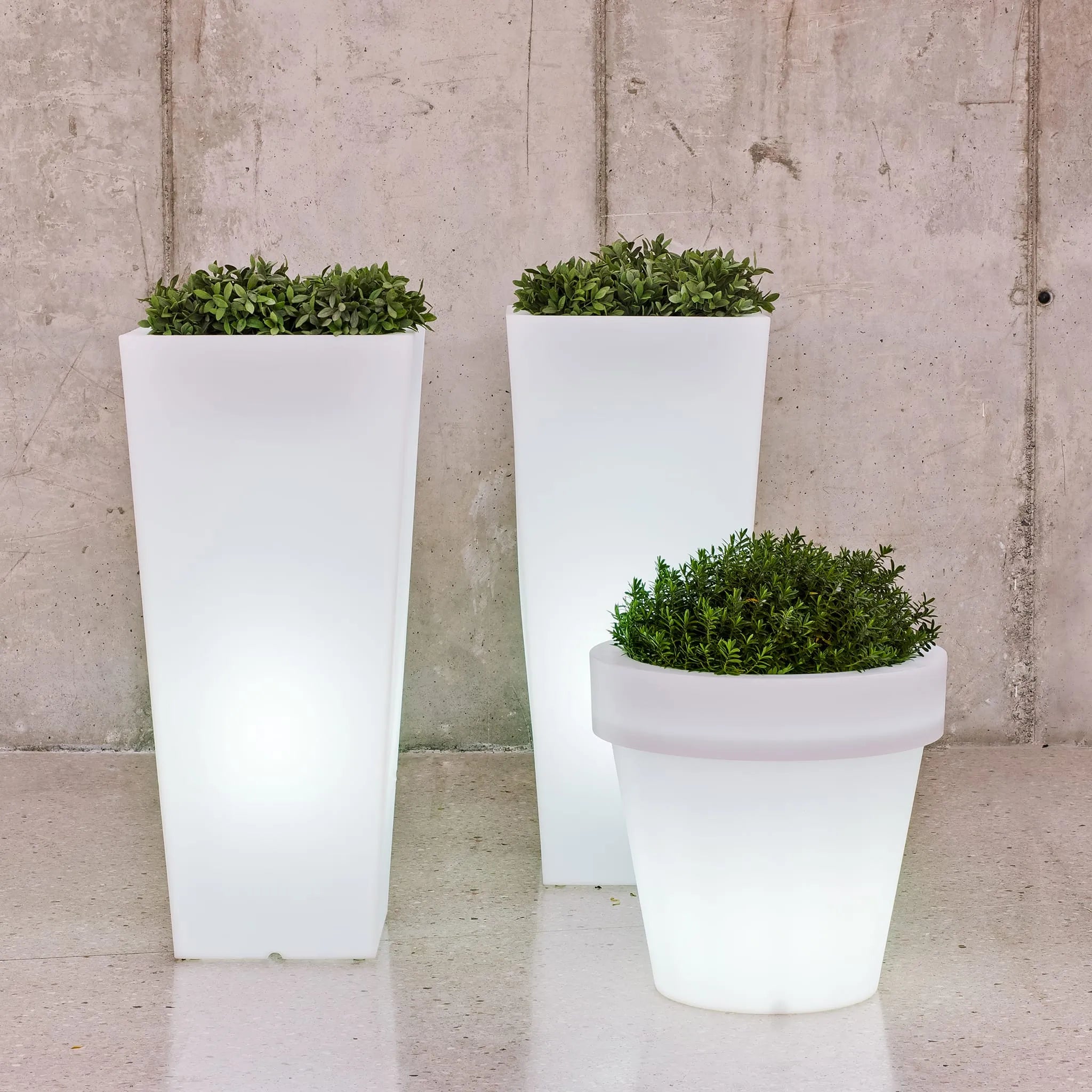 Magnolia<br> Solar & Rechargeable Nüline Distribution Pots & Planters art-noise.myshopify.com magnolia-br-solar-rechargeable Magnolia<br> Solar & Rechargeable Nüline Distribution Pots & Planters art-noise.myshopify.com magnolia-br-solar-rechargeable