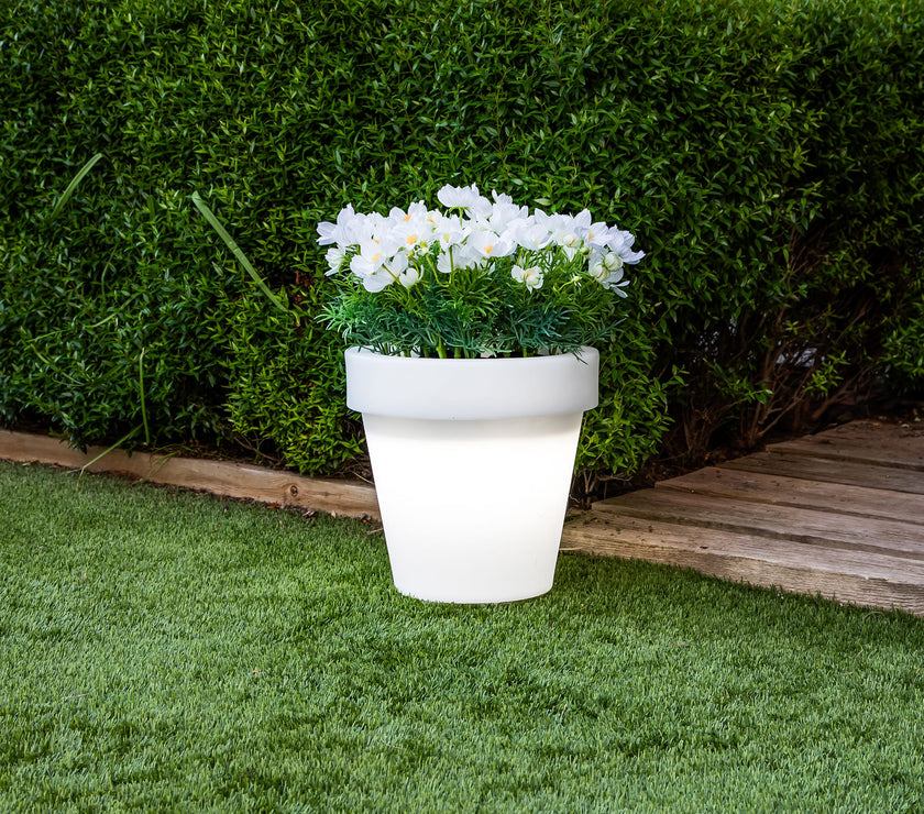 Magnolia<br> Solar & Rechargeable