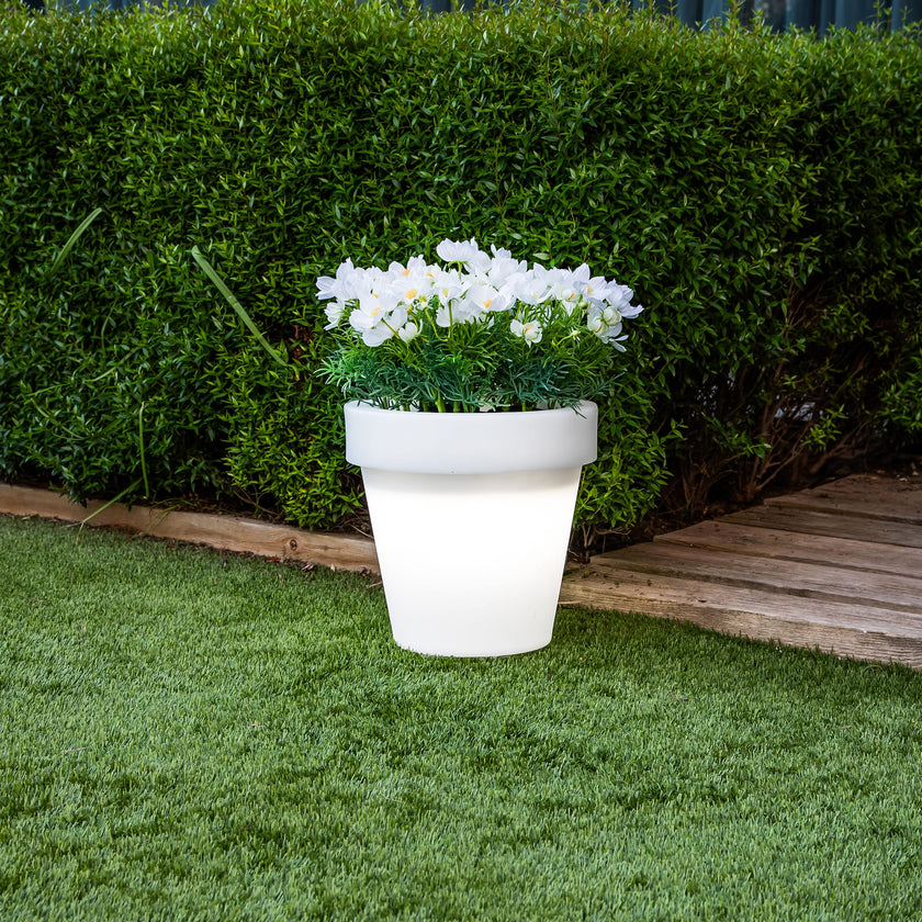Magnolia<br> Solar & Rechargeable