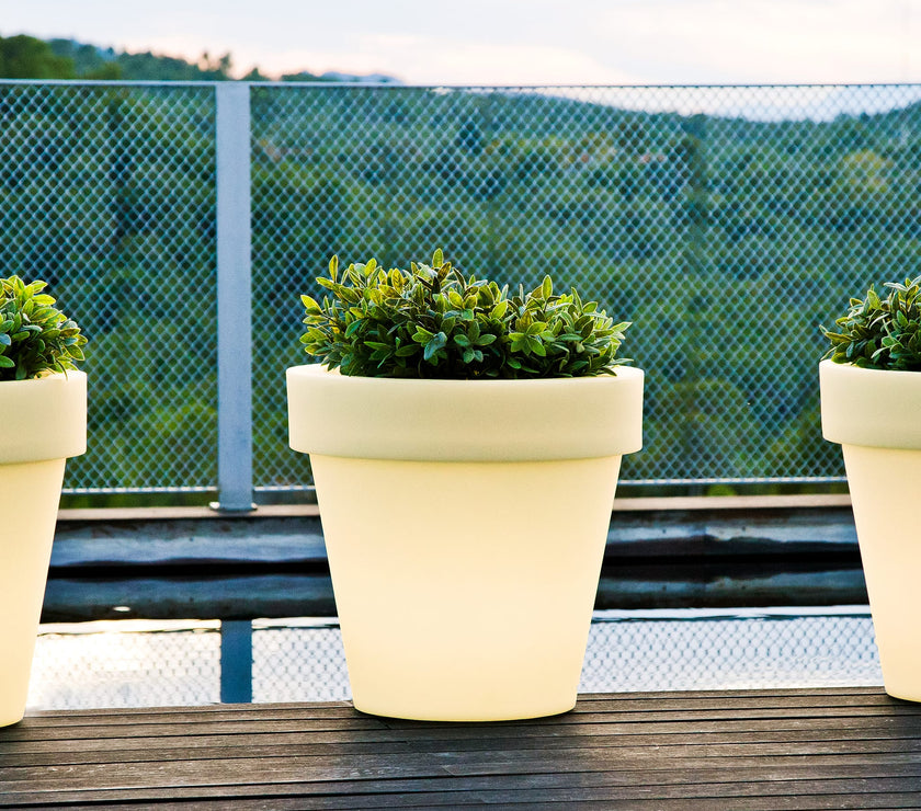 Magnolia<br> Solar & Rechargeable