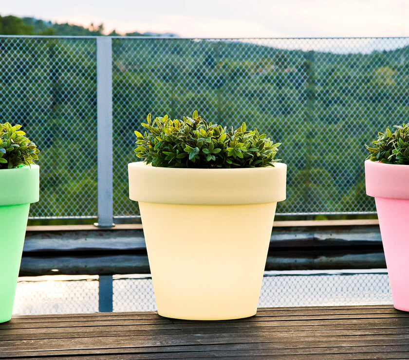Magnolia<br> Solar & Rechargeable