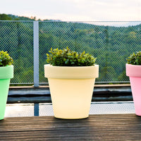 Magnolia<br> Solar & Rechargeable
