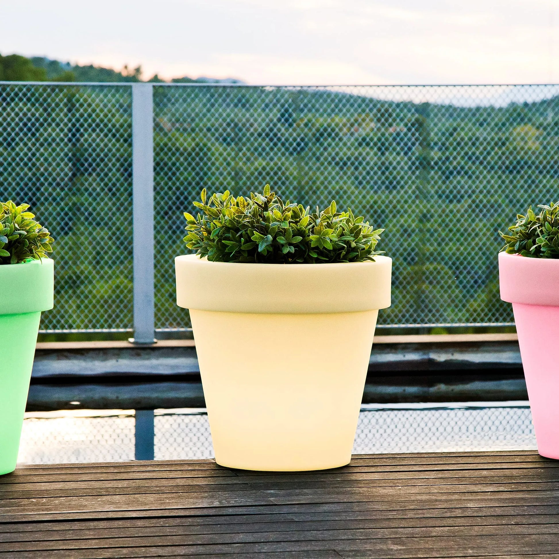 Magnolia<br> Solar & Rechargeable Nüline Distribution Pots & Planters art-noise.myshopify.com magnolia-br-solar-rechargeable Magnolia<br> Solar & Rechargeable Nüline Distribution Pots & Planters art-noise.myshopify.com magnolia-br-solar-rechargeable