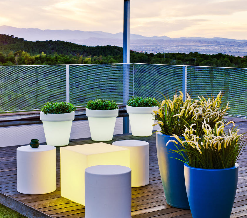 Magnolia<br> Solar & Rechargeable