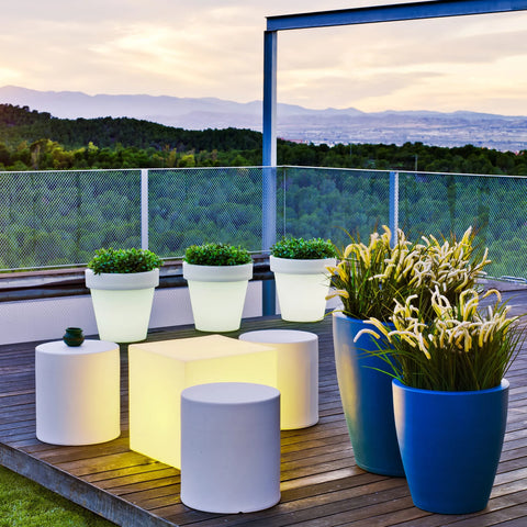 Magnolia<br> Solar & Rechargeable Nüline Distribution Pots & Planters art-noise.myshopify.com magnolia-br-solar-rechargeable Magnolia<br> Solar & Rechargeable Nüline Distribution Pots & Planters art-noise.myshopify.com magnolia-br-solar-rechargeable