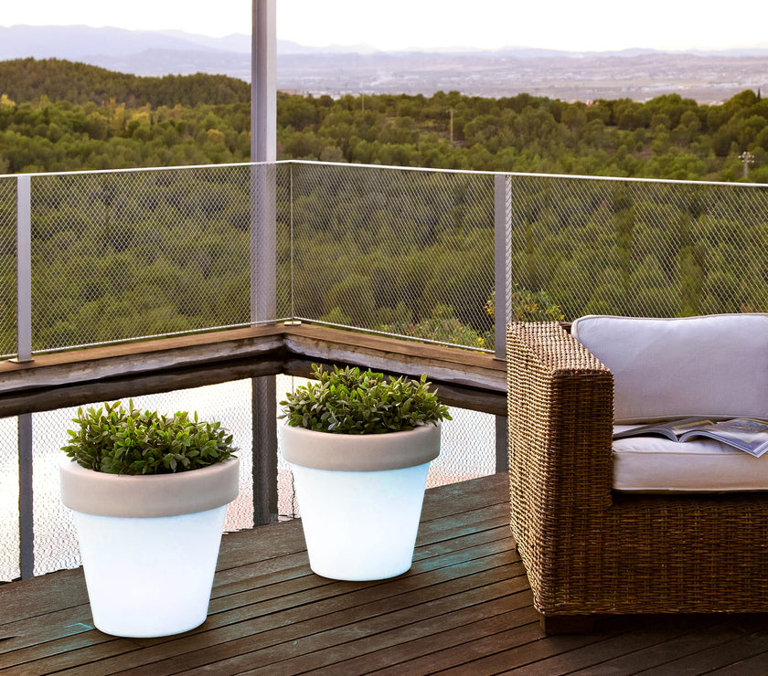 Magnolia<br> Solar & Rechargeable