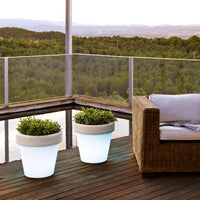 Magnolia<br> Solar & Rechargeable
